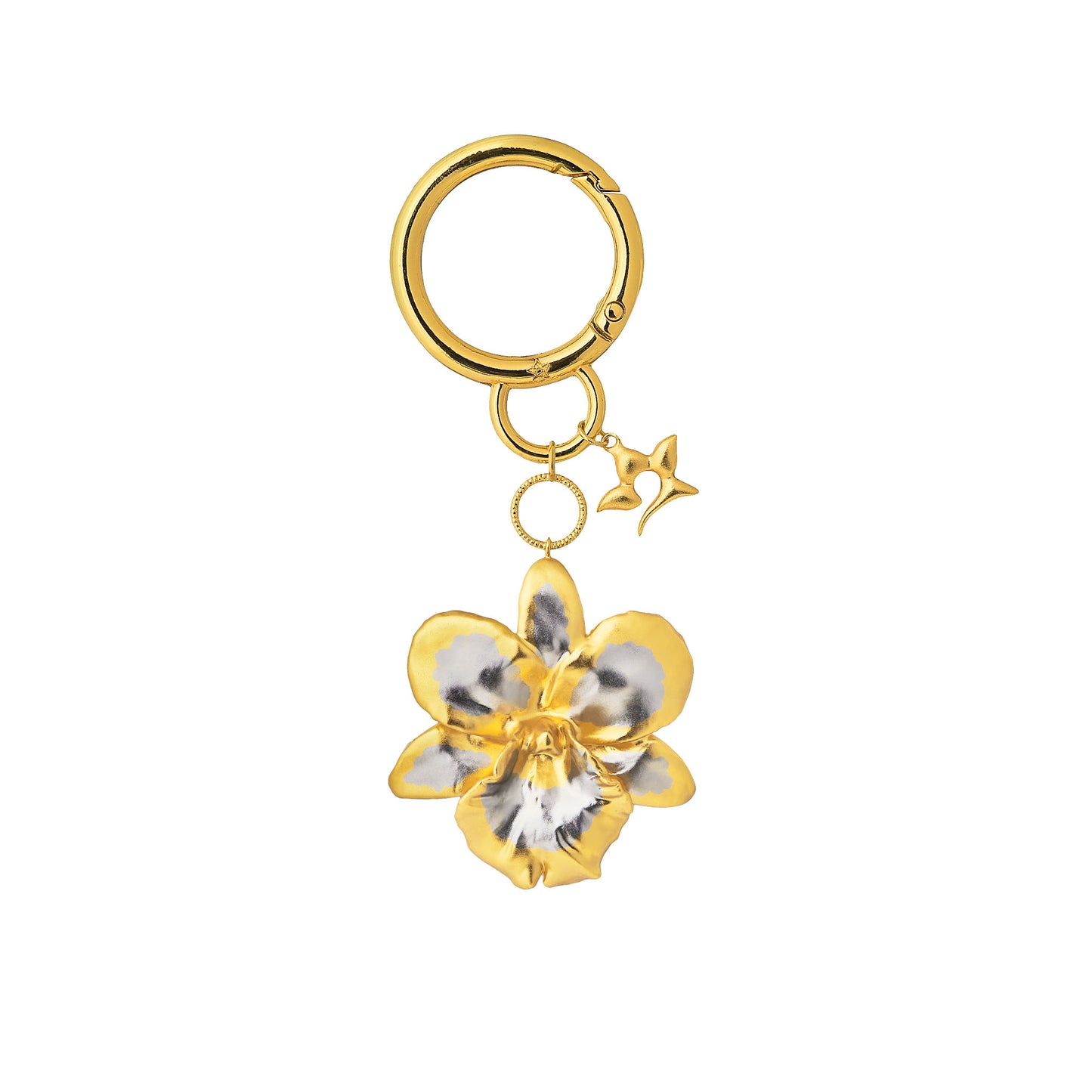 Cattleya Orchid & Chocolate Set